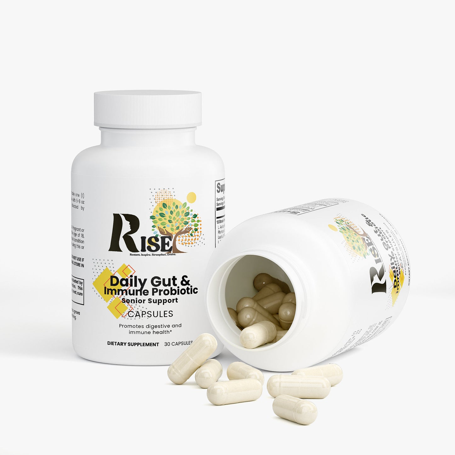 Daily Gut & Immune Probiotic: Senior Support