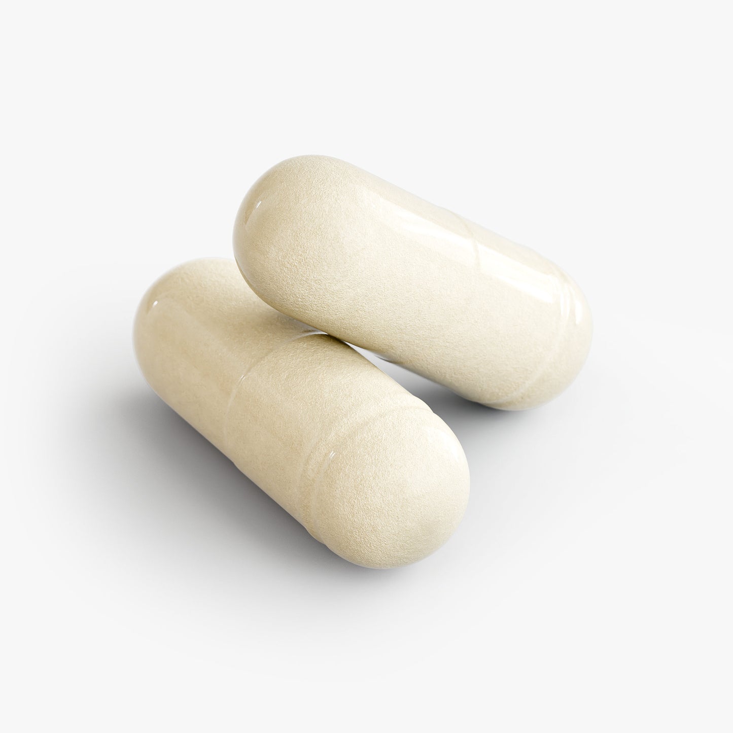 Daily Gut & Immune Probiotic: Senior Support